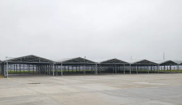 健康教育:如何选型健康咨询服务